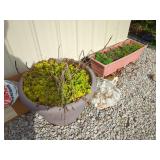 Plastic Planters