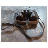 Bushnell 10x50 WA Binoculars with Carrying Case