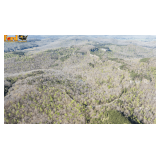 96 +/- Acres of Wooded Land w/ Pond in Wayne County, Ky