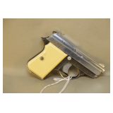 Titan .25 ACP Caliber Semi-Auto Pistol,