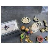 925 Ring and Costume Jewelry Pins