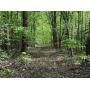 7 +/- Acres in McCreary County, Kentucky at Absolute Online Auction