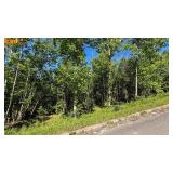 Building Lot in Silver Creek Subdivision in Somerset, Ky at Absolute Online Only Auction