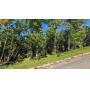 Building Lot in Silver Creek Subdivision in Somerset, Ky at Absolute Online Only Auction