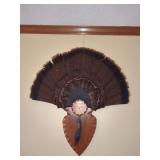 Wild Turkey Fan and Beard Taxidermy Mount