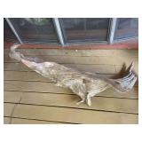 Natural Driftwood Sculpture