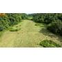 94 +/- Acres of Timber & Farmland at Absolute Live/Online Auction