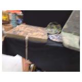 Camouflage Foam Tree Seat Cushions, Backrest, and Headwear