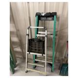Pair of Werner Ladders