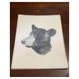 Gene Gray 1971 Bear Profile Print Animal Graphics Inc