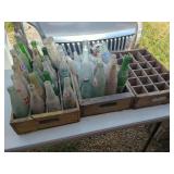 Soda Bottles in Wooden Crates