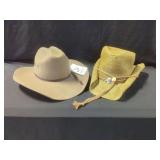 Two Western Style Hats by Twister and Western Express