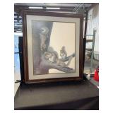 Ray Harm Limited Edition Signed Framed Print Gray Squirrel Sciurus carolinensis