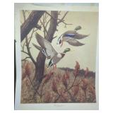 Don Eckelberry Mallard Drakes Rising Print Frame House Gallery