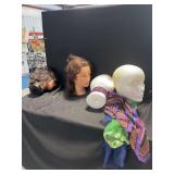 Mannequin Heads and Torso Forms with Display Accessories