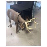 Molded Plastic Archery Target Buck with Antlers and Ground Stakes