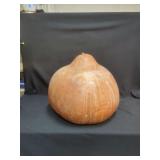 Large Dried Natural Gourds