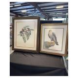 Two Framed Ray Harm Prints Featuring Eastern Bluebird and Peregrine Falcon