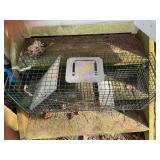 Green Wire Animal Trap