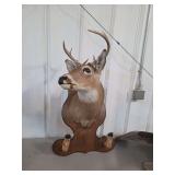Whitetail Deer Taxidermy Shoulder Mount with Hoof Accents on Wooden Plaque