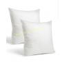 Set of 2-26 x 26 Premium Hypoallergenic Stuffer