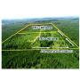 80 ACRE MOL PIKE COUNTY LAND AUCTION 