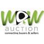 IMPORTANT WOW Auction News & Updates!