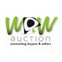 IMPORTANT WOW Auction News & Updates!