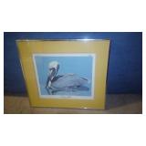 "Brown Pelican" Signed & # - R. Evans Younger U15E