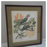"Parrots" Print by Marion Ruff Sheehan U15F