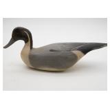 Pintail Duck Decoy Savage