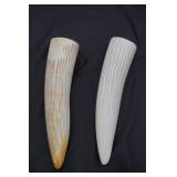 Walrus Ivory Or Sperm Whale Teeth