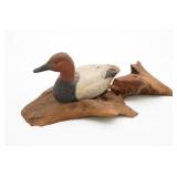 Carved Canvasback Duck Mounted On Driftwood