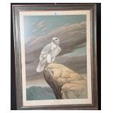 Lithograph Print Alert and Ready White Gyrfalcon