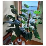 (2) Artificial Plants