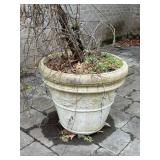 Large Concrete Planter ~ Heavy