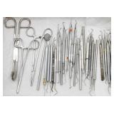 Collection of Assorted Dental Instruments