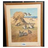 Game Birds of America by Lynn Bogue Hunt Print