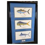 Framed Fish Illustrations With Blue Matting