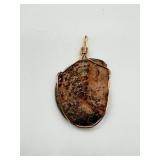 Ammonite Nautilus 350mil Sahara Morocco