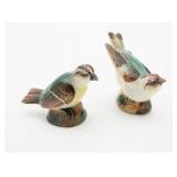 Painted Ceramic Bird S&P Shakers
