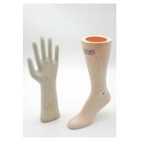 Plastic Foot and Ceramic Hand Display Models