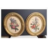 Framed Oval Botanical Prints (2)