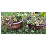 (2) Round Ceramic Planters