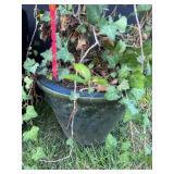 Blue Ceramic Planter w/Ivy Plant