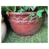 Embossed Terracotta Planter w/Plant
