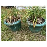 (2) Teal Ceramic Planters w/Plants