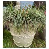 Concrete Planter w/Plant