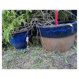 (2) Blue Ceramic Planters w/Plant