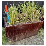 Ceramic Rectangular Planter w/Plant